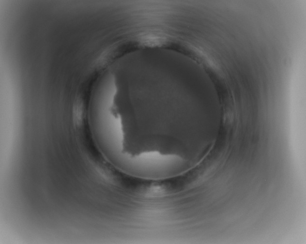 X0000113550647200909251038