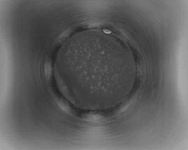 X0000113550648200909251038