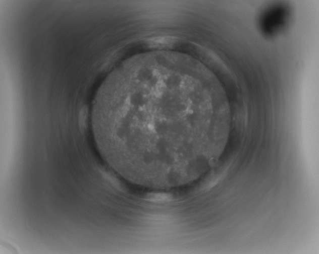 X0000113550649200909251039