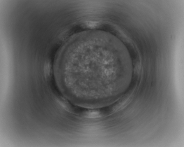 X0000113550651200909251039