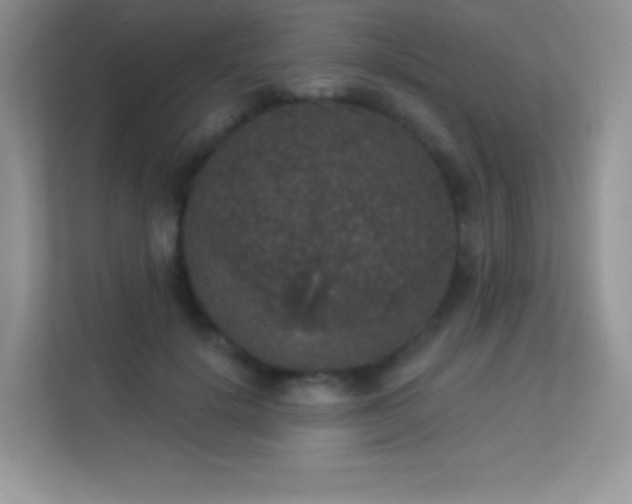 X0000113550652200909251039