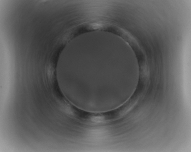 X0000113550653200909251039