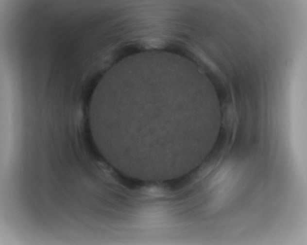 X0000113550655200909251039