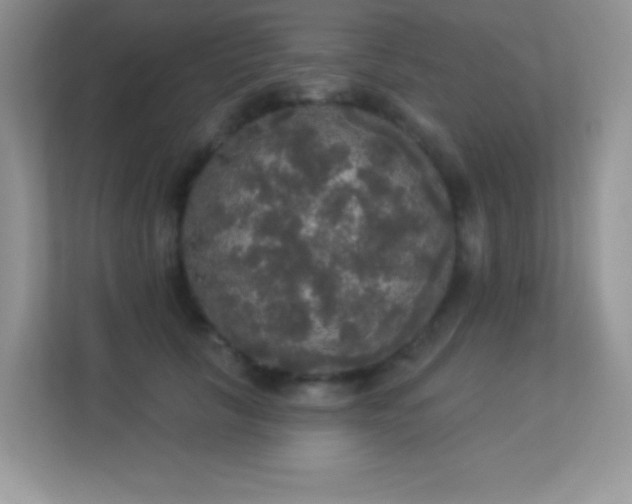 X0000113550657200909251039