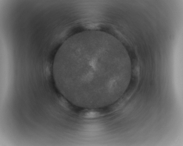 X0000113550658200909251039