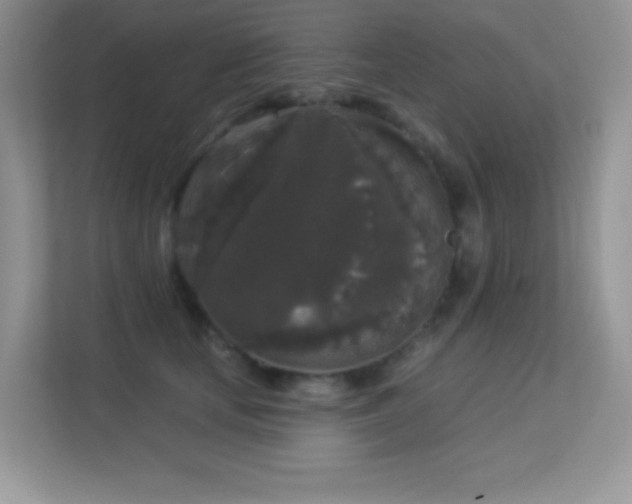 X0000113550659200909251039