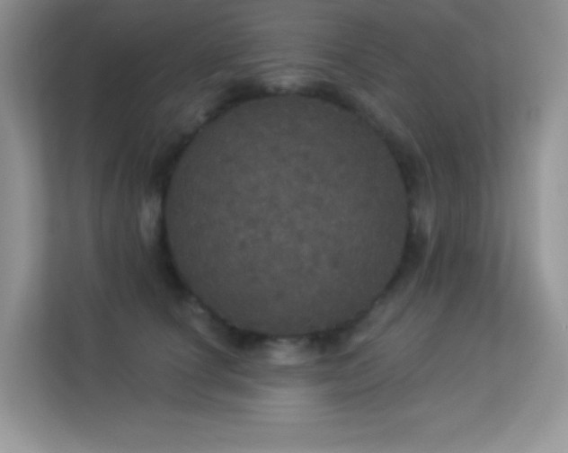 X0000113550660200909251039