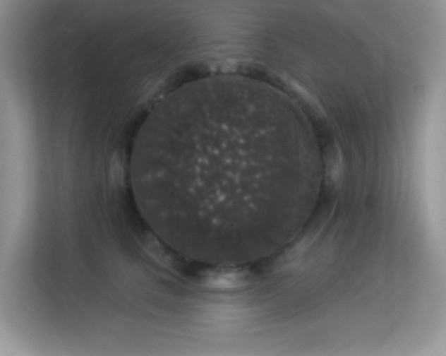 X0000113550661200909251039