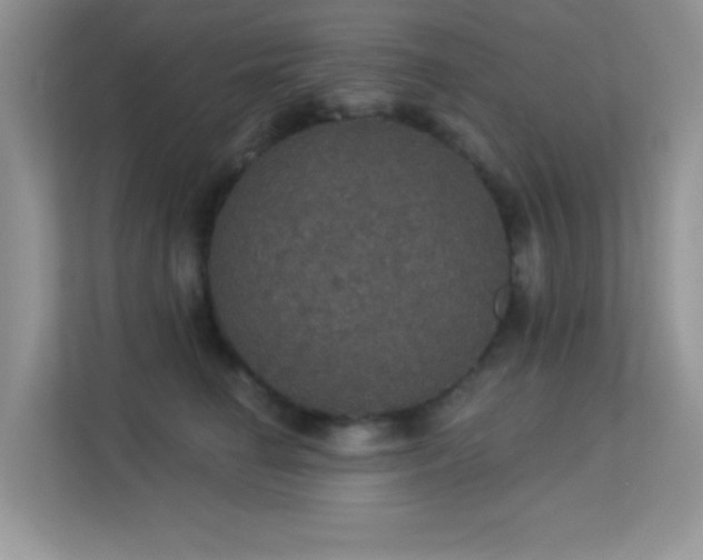 X0000113550662200909251039