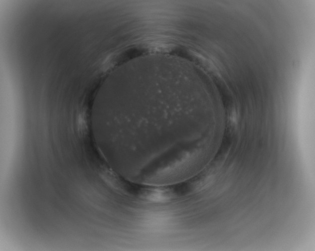 X0000113550663200909251039