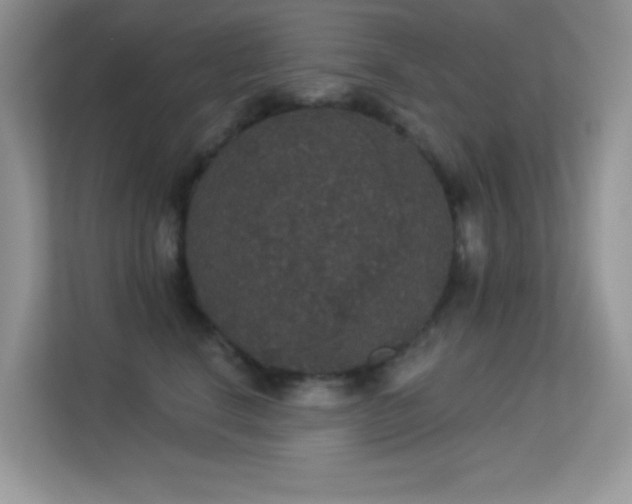 X0000113550664200909251039