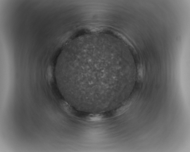 X0000113550667200909251039