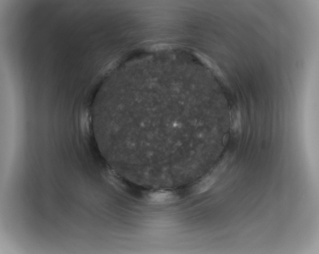 X0000113550669200909251039