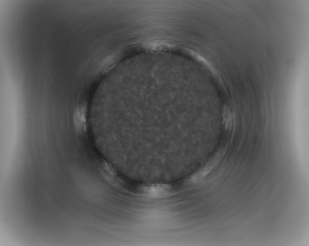 X0000113550670200909251039