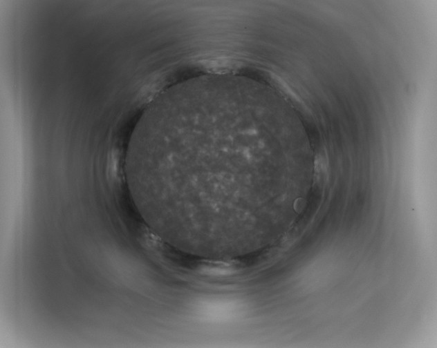 X0000113550671200909251039