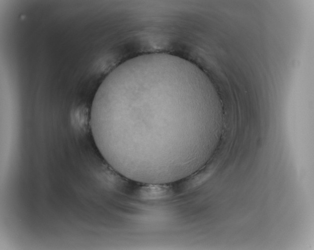 X0000113550672200909251039