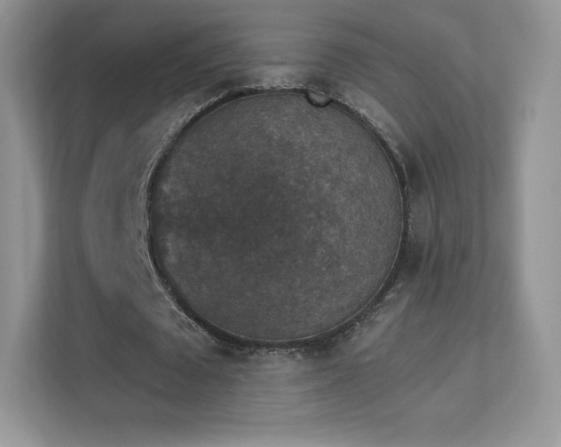 X0000113550673200909251038