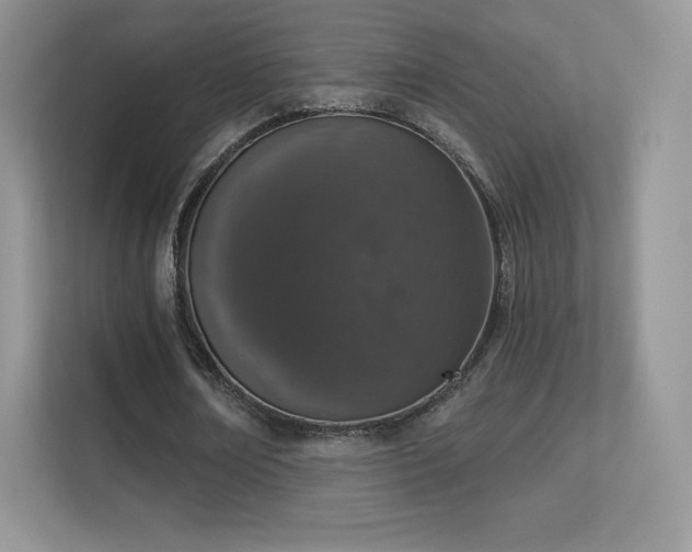 X0000113550674200909251038