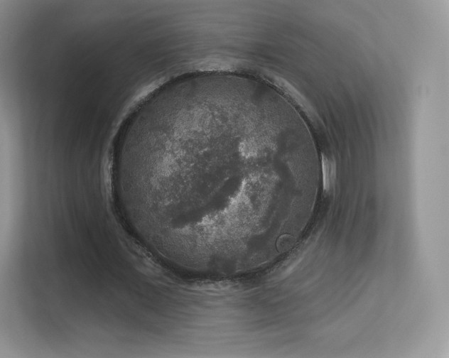 X0000113550675200909251038