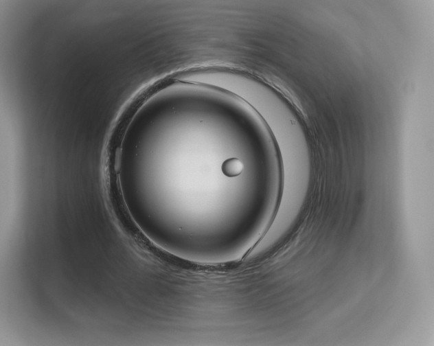 X0000113550676200909251038