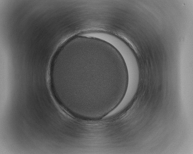 X0000113550677200909251038