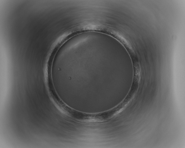 X0000113550678200909251038