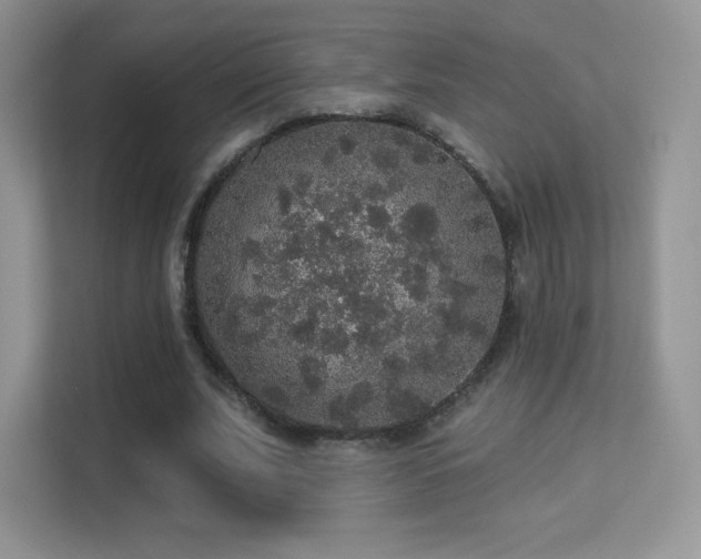 X0000113550679200909251038