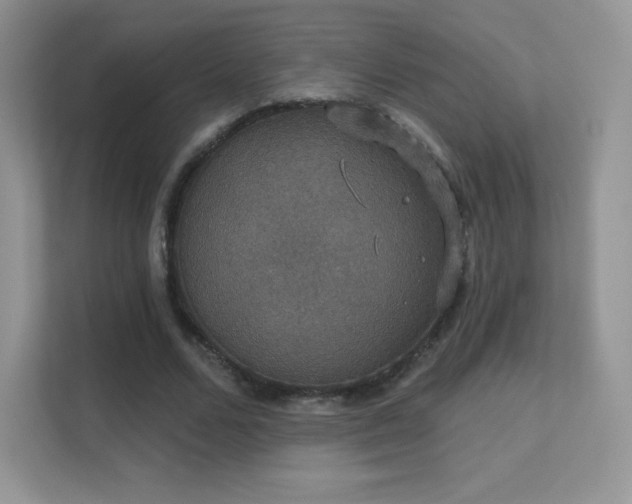 X0000113550680200909251038