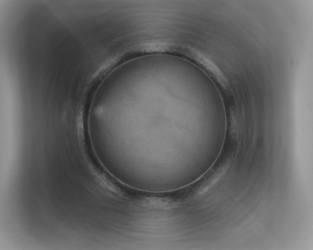 X0000113550681200909251038