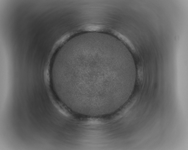 X0000113550682200909251038