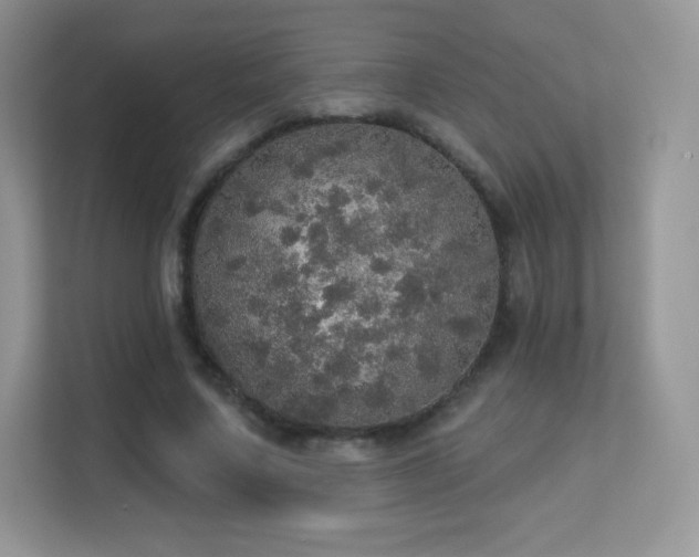 X0000113550683200909251038