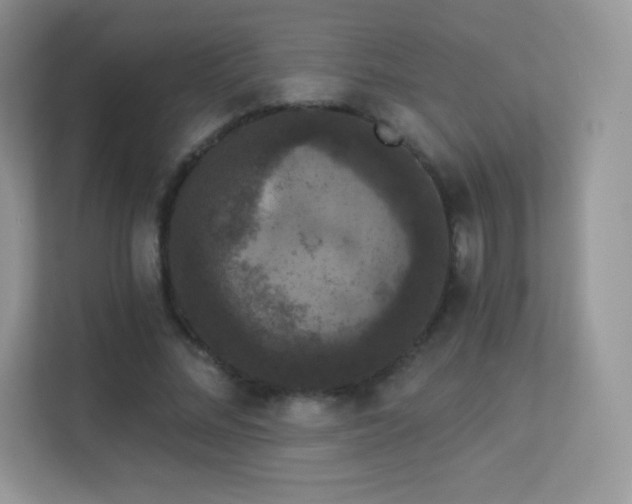 X0000113550684200909251038