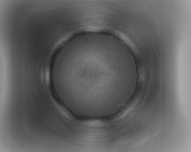 X0000113550685200909251038