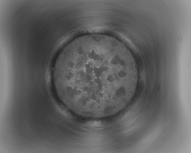 X0000113550687200909251038