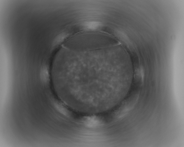 X0000113550688200909251038