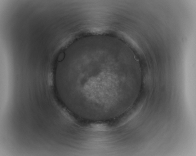 X0000113550689200909251038