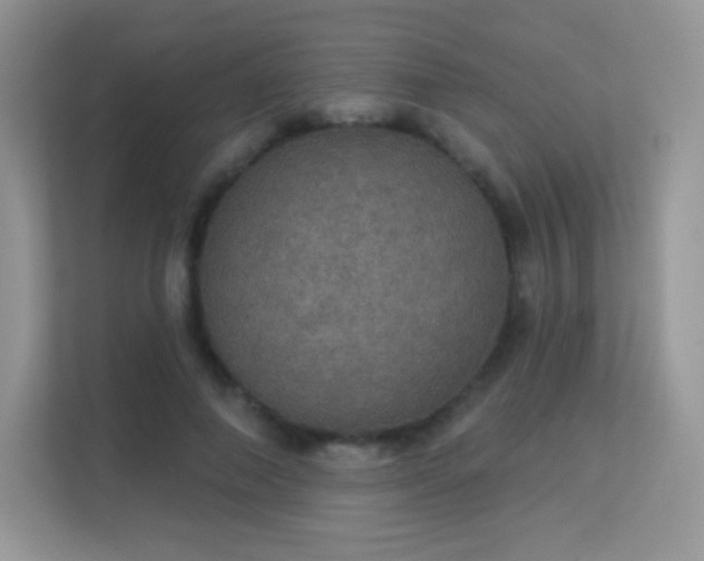 X0000113550690200909251038