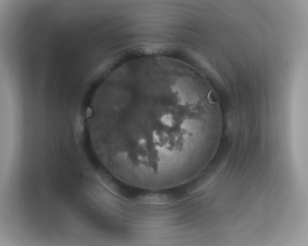 X0000113550691200909251038