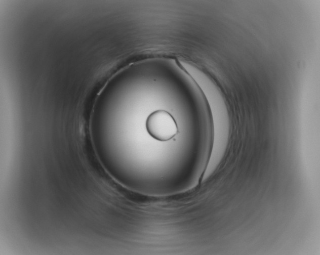 X0000113550692200909251038