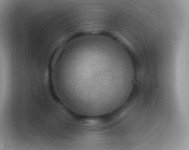 X0000113550693200909251038