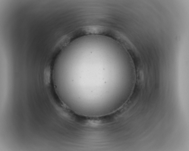 X0000113550694200909251038