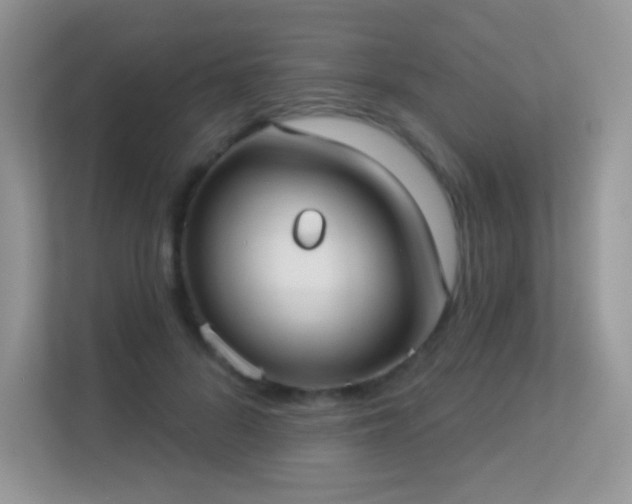 X0000113550696200909251038