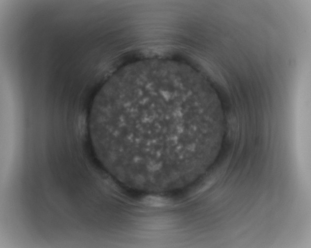 X0000113550699200909251038