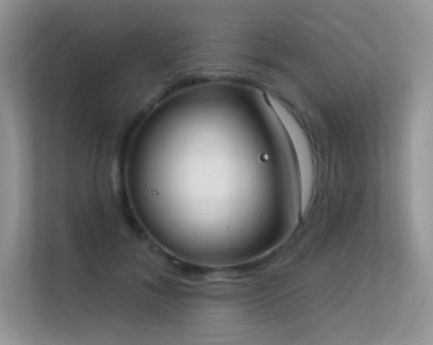 X0000113550700200909251038