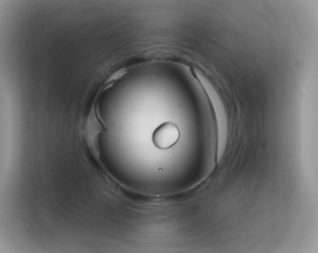 X0000113550701200909251038