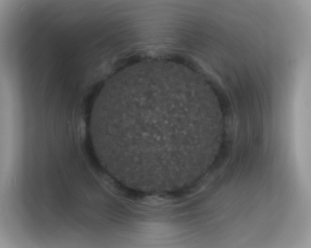 X0000113550703200909251038