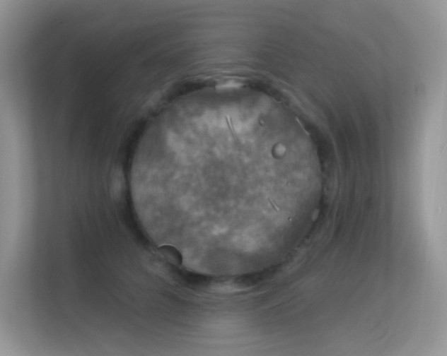 X0000113550704200909251038