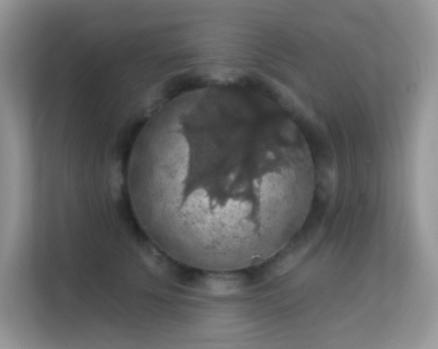 X0000113550707200909251038