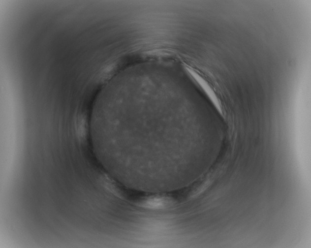 X0000113550708200909251038