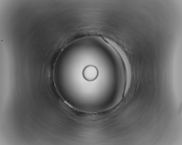 X0000113550709200909251038